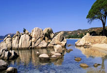 开云体育网页版 -风云突变阿森纳国际比赛日队长鼓劲；足总杯版图或变；目标明确；团队化学反应显著的简单介绍